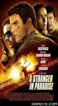 A Stranger in Paradise (2013) poster