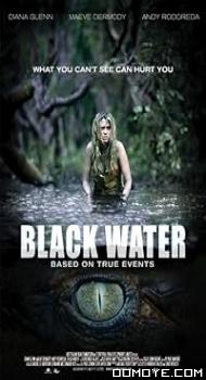 Black Water (2007) poster