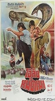 Snake in the Monkeys Shadow (1979) poster