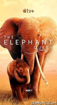 The Elephant Queen (2019) poster