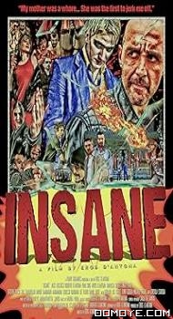 Insane (2015) poster