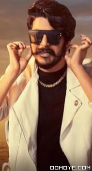 DJ Wale Babu (2022) poster