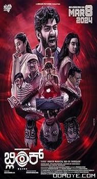 Blink (2024) poster