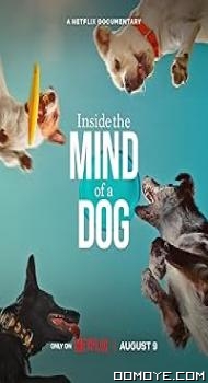 Inside the Mind of a Dog (2024) poster