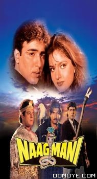 Naagmani (1991) poster