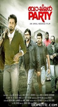 Bachelor Party (2012) poster