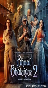 Bhool Bhulaiyaa 2 (2022) poster
