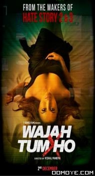 Wajah Tum Ho (2016) poster
