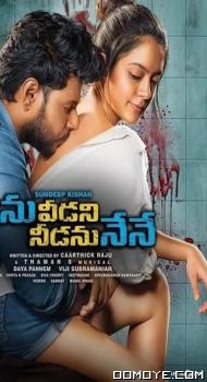 Main Hoon Sarfira - Ninu Veedani Needanu Nene (2022) poster
