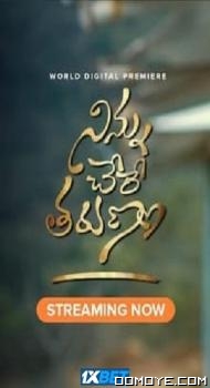 Ninnu Chere Tarunam (2023) poster