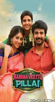 Namma Veettu Pillai (2019) poster