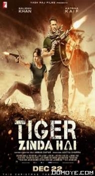 Tiger Zinda Hai (2017) poster