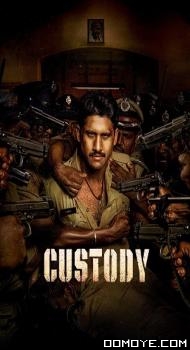 Custody (2023) poster