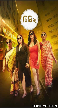 Cheeni 2 (2008) Hoichoi poster