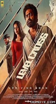 Level Cross (2024) poster