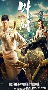 Ip Man: The Awakening (2021) poster