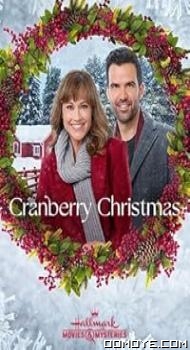 Cranberry Christmas (2020) poster