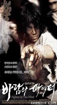 Fighter in the Wind (2004) poster