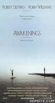 Awakenings (1990) poster