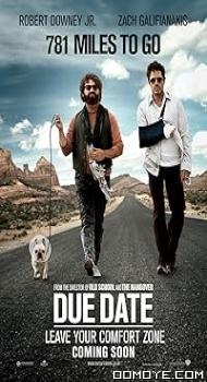 Due Date (2010) poster