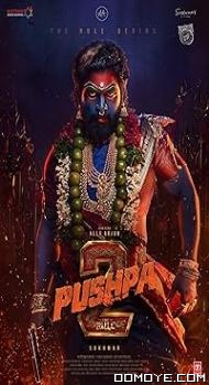 Pushpa: the Rule - Part 2 (2024) poster