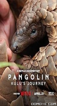 Pangolin: Kulus Journey (2025) poster