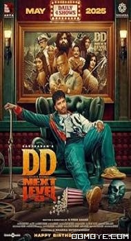DD Next Level (2025) poster
