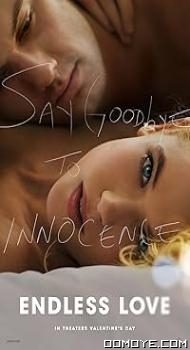 Endless Love (2014) poster