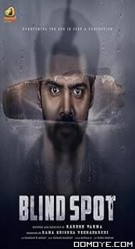 Blind Spot (2025) poster