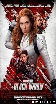 Black Widow (2021) poster
