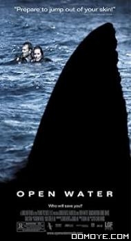 Open Water (2003) poster