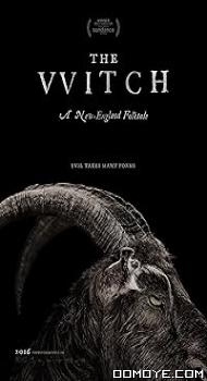The Witch (2015) poster