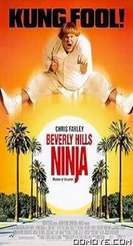 Beverly Hills Ninja (1997 poster