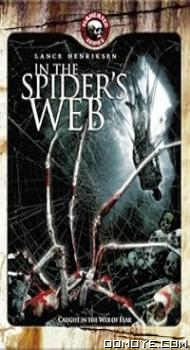 In the Spiders Web (2007) poster