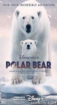 Polar Bear (2022) poster