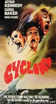 Cyclone (1978) poster