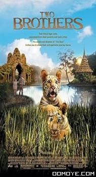 Two Brothers (2004) poster