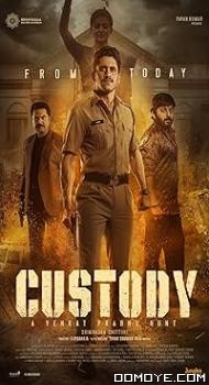 Custody (2023) poster