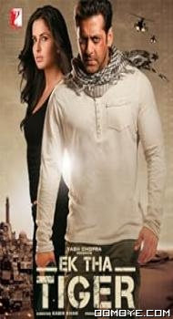 Ek Tha Tiger (2012) poster