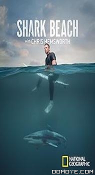Shark Beach with Chris Hemsworth (2021) poster