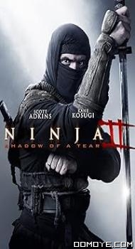 Ninja: Shadow of a Tear (2013) poster