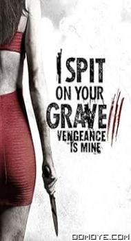 I Spit on Your Grave 3: Vengeance is Mine (2015) poster