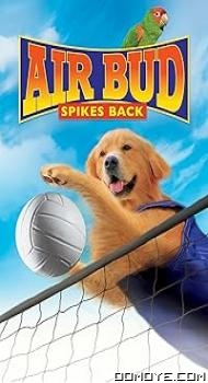 Air Bud – Spikes Back (2003) poster
