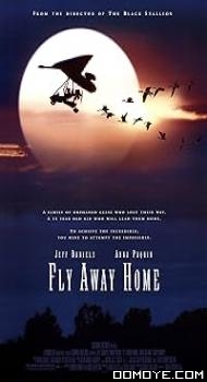 Fly Away Home (1996) poster