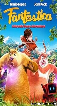 Boonie Bears: Entangled Worlds (2017) poster